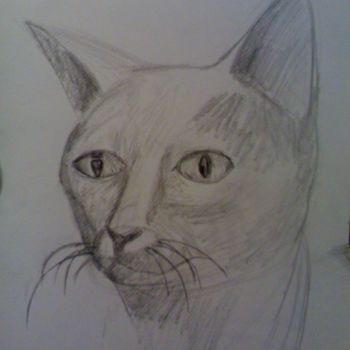 Drawing titled "Cat" by Grzywacz, Original Artwork