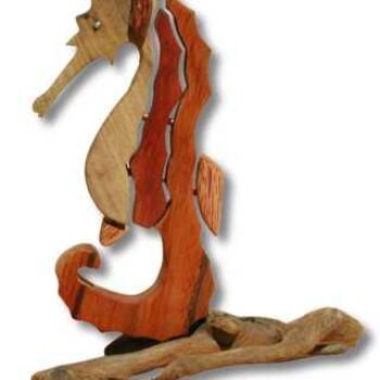 Sculpture titled "seahorse" by Hansjorg Stubler, Original Artwork, Wood