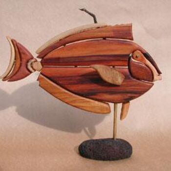 Sculpture intitulée "surgeonfish" par Hansjorg Stubler, Œuvre d'art originale, Bois