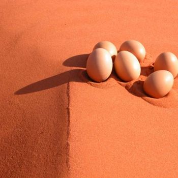 Photography titled "eggs1.jpg" by Hansjorg Stubler, Original Artwork