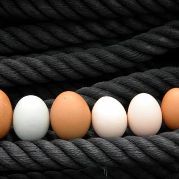 Fotografia intitulada "eggs7.jpg" por Hansjorg Stubler, Obras de arte originais