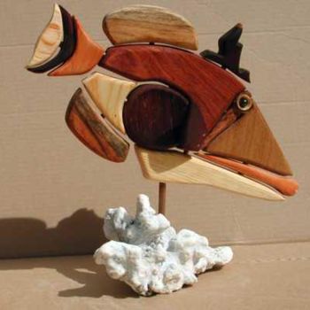 Sculpture titled "Triggerfish picasso…" by Hansjorg Stubler, Original Artwork, Wood