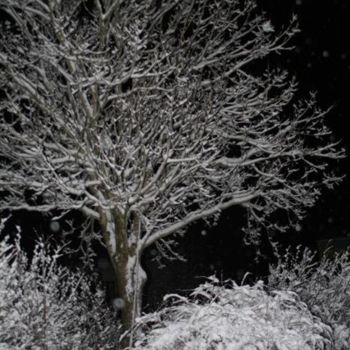 Photography titled "Snowing" by Heart Art Rebecca, Original Artwork