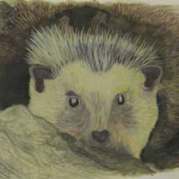 Printmaking titled "Hedgehog" by Heidi Elmore, Original Artwork