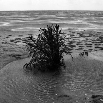 Photography titled "North Sea Coast, Ge…" by Heinz Baade, Original Artwork