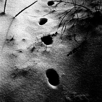 Fotografie mit dem Titel "69. “Tracks in the…" von Heinz Baade, Original-Kunstwerk