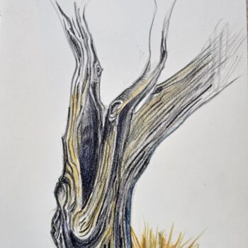 Σχέδιο με τίτλο "Etude d arbre" από Hel Swynghedauw, Αυθεντικά έργα τέχνης, Μολύβι