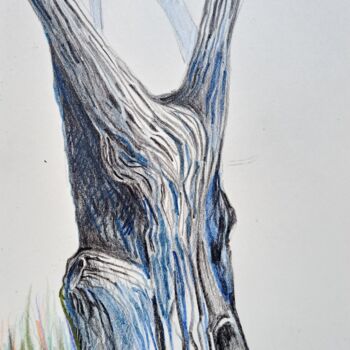 Drawing titled "Etude d arbre2" by Hel Swynghedauw, Original Artwork, Pencil