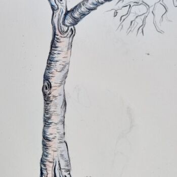 Σχέδιο με τίτλο "Etude d arbre 3" από Hel Swynghedauw, Αυθεντικά έργα τέχνης, Μολύβι