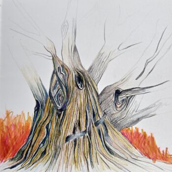 Σχέδιο με τίτλο "Tronc d arbre" από Hel Swynghedauw, Αυθεντικά έργα τέχνης, Μολύβι