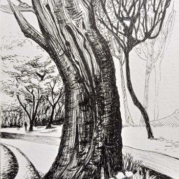 Drawing titled "Parc" by Hel Swynghedauw, Original Artwork, Ink