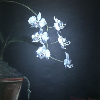 Painting titled "orchidées" by Helen Barenton, Original Artwork, Chalk