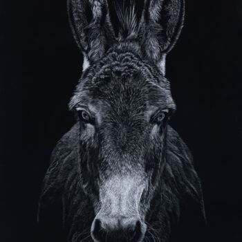 Painting titled "Dont be an Ass, be…" by Helen Coulter, Original Artwork, Scratchboard