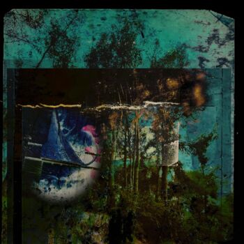 Photographie intitulée "Hildegarda’s forest" par Helena Pellicer Ortiz, Œuvre d'art originale, Photographie numérique