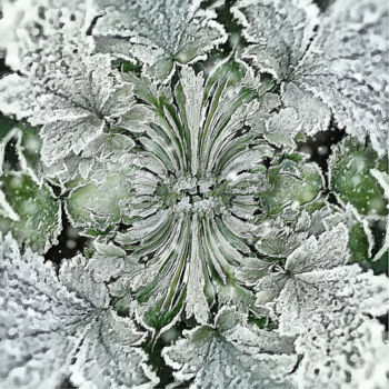 Digitale Kunst mit dem Titel "Snow leaves" von Helena Vintergreen, Original-Kunstwerk, Digitale Malerei