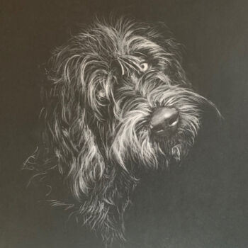 Drawing titled "Griffon" by Hélène Avot, Original Artwork, Chalk