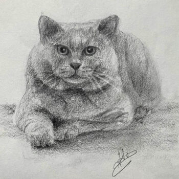 Drawing titled "Chat - Chartreux" by Hélène Avot, Original Artwork, Pencil