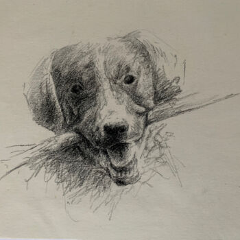 Dessin intitulée "Chien de chasse" par Hélène Avot, Œuvre d'art originale, Crayon