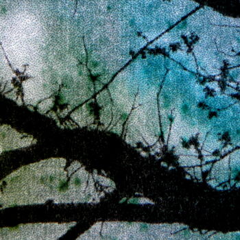 Fotografia intitolato "Arborescences" da Hélène Mongin, Opera d'arte originale