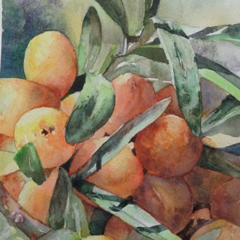 Картина под названием "Mandarines -Aquarel…" - Bastard Helene, Подлинное произведение искусства, Акварель