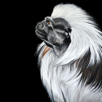 Drawing titled "Regard Primate" by Hélène Roux, Original Artwork, Pastel