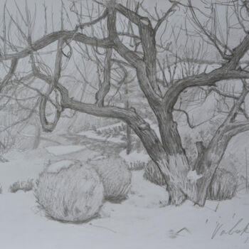 Drawing titled "Apricot tree and sn…" by Hennadii Volokitin, Original Artwork, Pencil