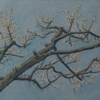 Peinture intitulée "Apricot tree in blo…" par Hennadii Volokitin, Œuvre d'art originale, Huile
