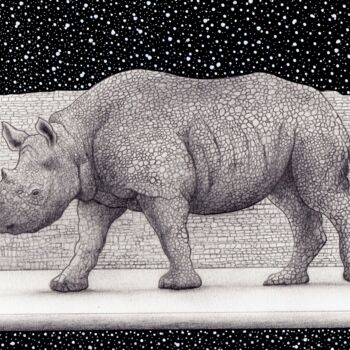 제목이 "Le rhinocéros de pi…"인 그림 Henri Ibara로, 원작, 잉크