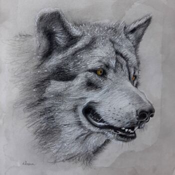 Desenho intitulada "Tête de loup" por Henri Ibara, Obras de arte originais, Lápis
