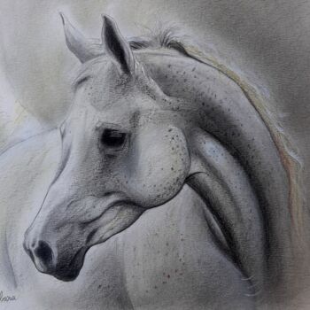 Desenho intitulada "Tête de cheval arab…" por Henri Ibara, Obras de arte originais, Guache