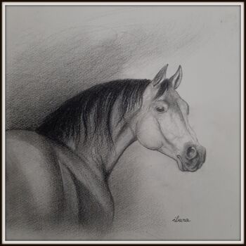 Drawing titled "Tête de cheval au c…" by Henri Ibara, Original Artwork, Pencil
