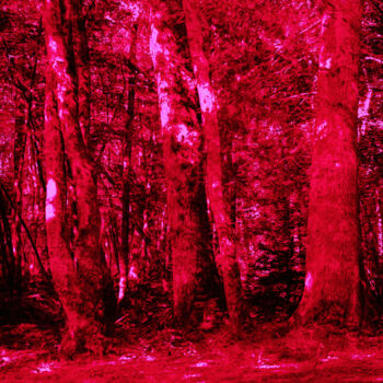 Fotografie getiteld "Ruby forest" door Henri Odabas, Origineel Kunstwerk, Digitale fotografie