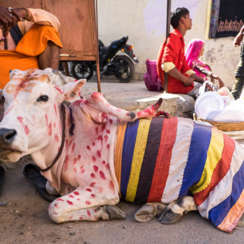 Photography titled "Rajasthan-6" by Henri Beau, Original Artwork