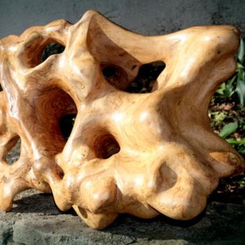 Скульптура под названием "Bouillonnements" - Henri Degracia, Подлинное произведение искусства, Дерево