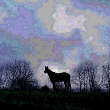 Photography titled "Horse Against Sky" by Henrietta, Original Artwork