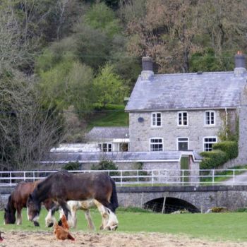 Photography titled "Shire Horses with H…" by Henrietta, Original Artwork