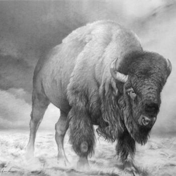 Tekening getiteld "Bison. Bleistift" door Peter Heydeck, Origineel Kunstwerk