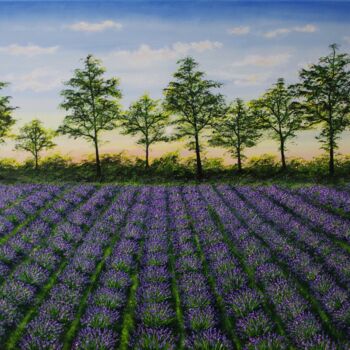 Malerei mit dem Titel "Lavender Feild at D…" von Hazel Thomson, Original-Kunstwerk, Öl Auf Keilrahmen aus Holz montiert