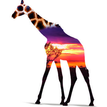 Digitale Kunst getiteld "Safari dream" door Hicham Elaarkoubi, Origineel Kunstwerk, Digitaal Schilderwerk