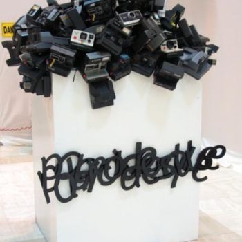 Sculpture intitulée "Polaroidesque" par Hicksail, Œuvre d'art originale, Autre