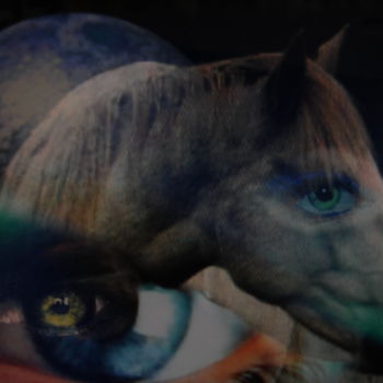 Fotografie mit dem Titel "blue horse in love" von Alessandro De Villas, Original-Kunstwerk