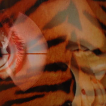 Картина под названием "TIGER LILLY" - Alessandro De Villas, Подлинное произведение искусства