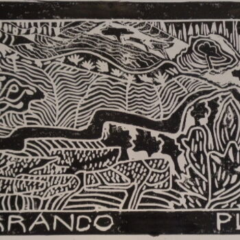 Printmaking titled "Barranco Plano" by Hilary Mullany, Original Artwork