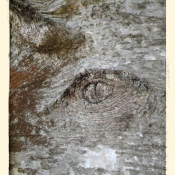 Fotografia intitolato "Tree Eyes" da Himé Neicha, Opera d'arte originale, Fotografia manipolata