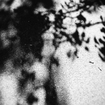 Photographie intitulée "Un lama dans l'ombre" par Himé Neicha, Œuvre d'art originale, Photographie numérique