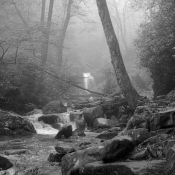 Photography titled "Grotto Falls Mist B…" by Hinsel Scott, Original Artwork