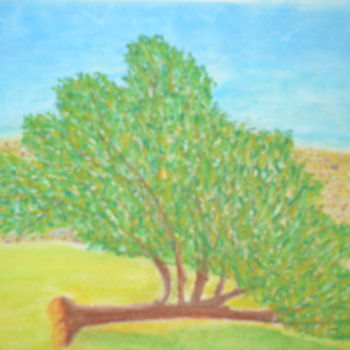 Dessin intitulée ""l'arbre de vie..."" par Sébastien Richardet, Œuvre d'art originale, Pastel