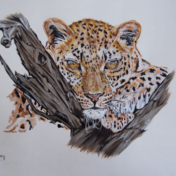Painting titled "leopards rest" by Hiten Mistry, Original Artwork, Acrylic