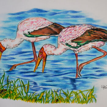 「yellow-billed storks」というタイトルの描画 Hiten Mistryによって, オリジナルのアートワーク, 鉛筆