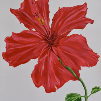 Painting titled "Hibiscus" by Hiten Mistry, Original Artwork, Acrylic